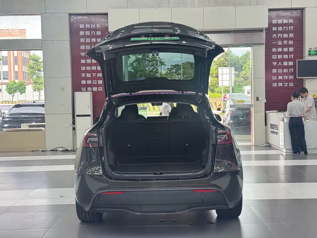 Tesla Model Y — фото 9