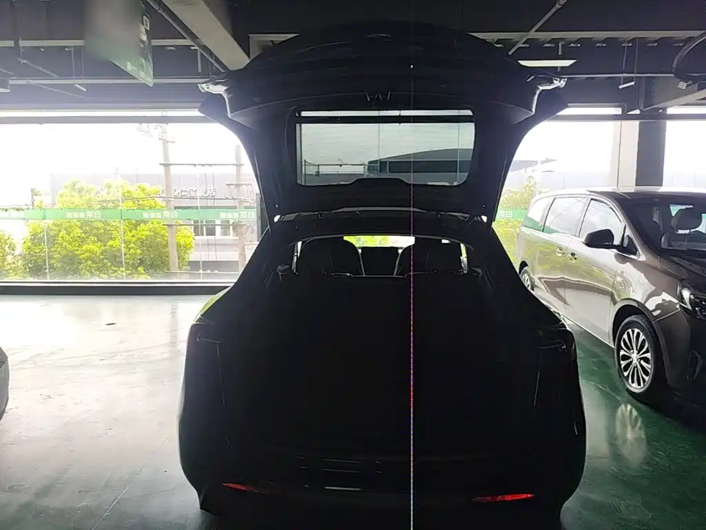 Tesla Model Y — фото 19