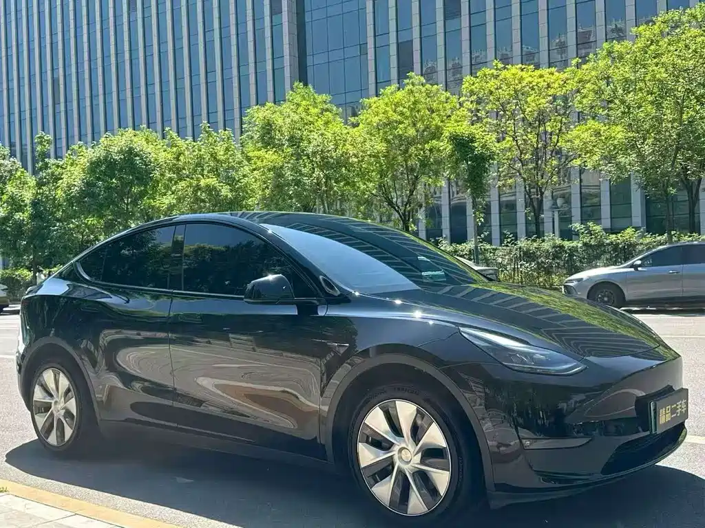 Tesla Model Y — фото 2
