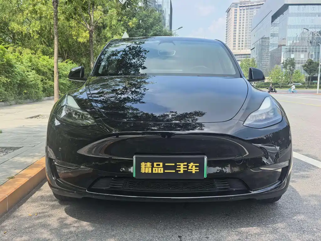 Tesla Model Y — фото 3