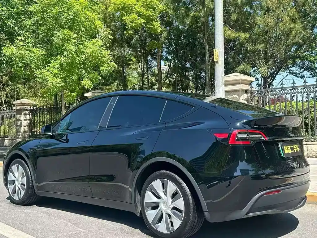 Tesla Model Y — фото 5