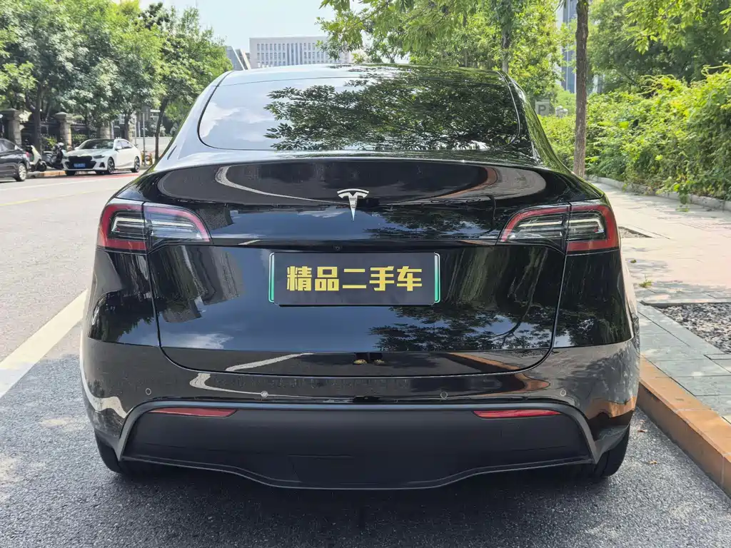 Tesla Model Y — фото 6