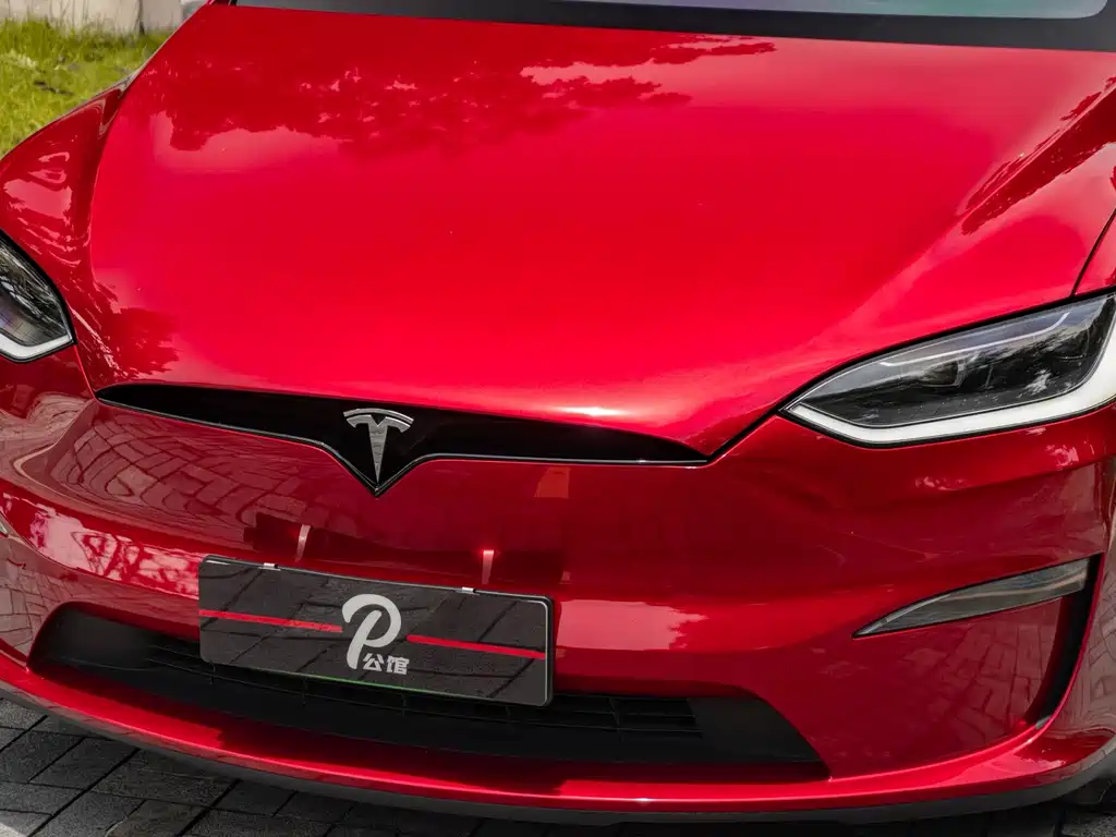 Tesla Model X — фото 7