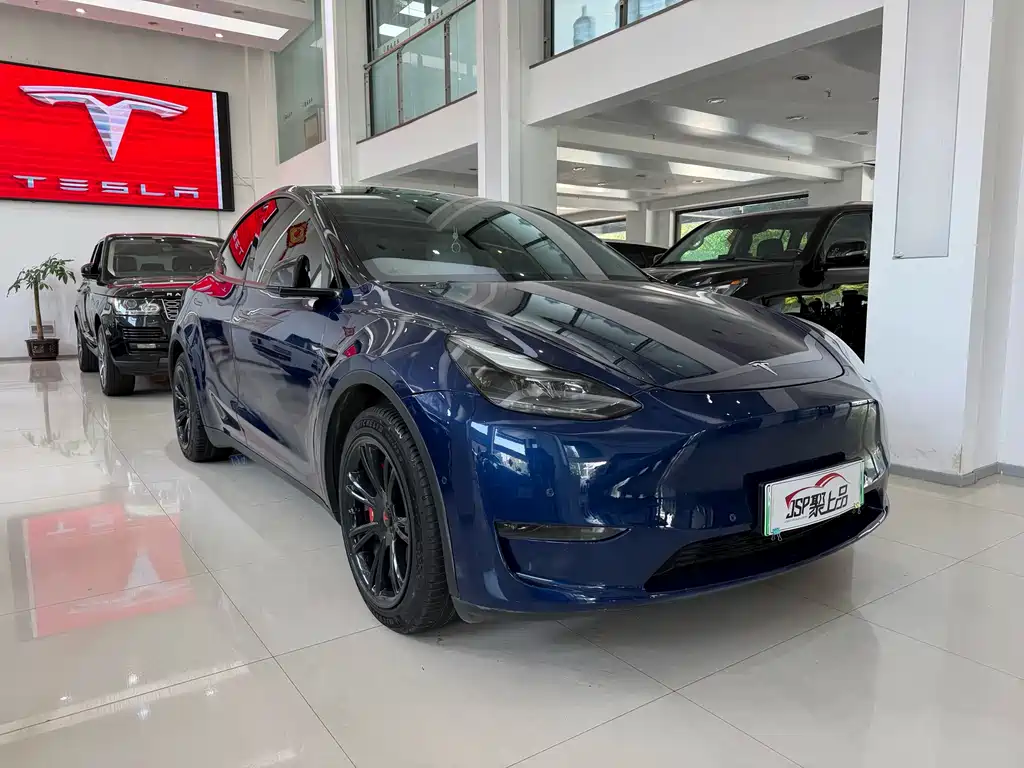 Tesla Model Y — фото 3