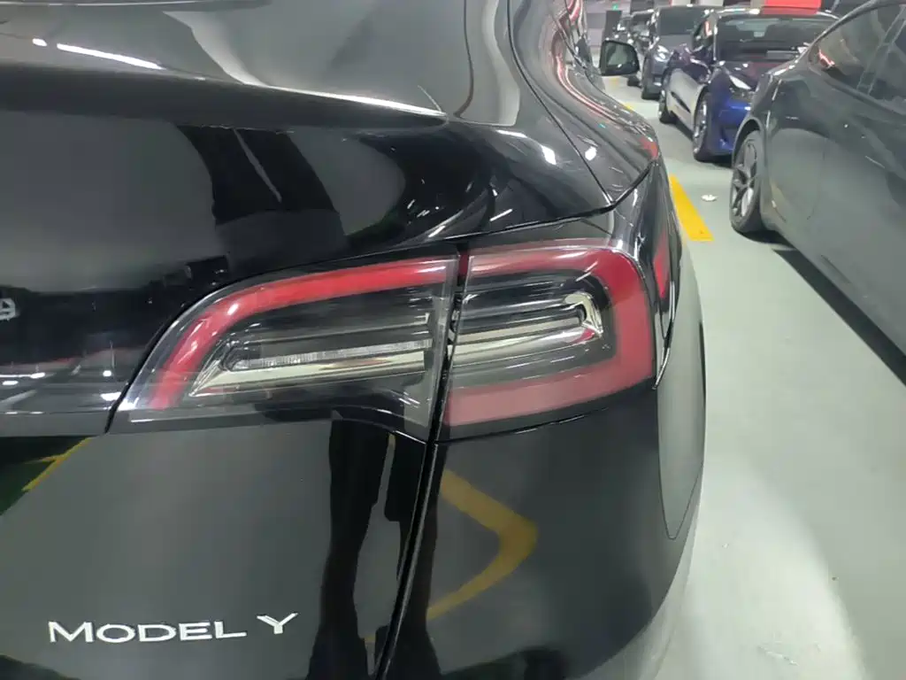 Tesla Model Y — фото 8