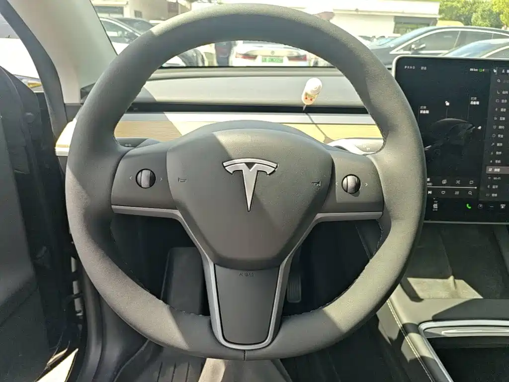 Tesla Model Y — фото 11