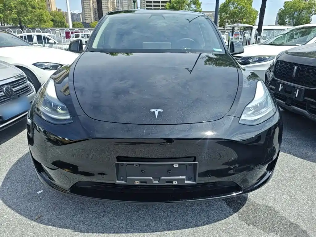 Tesla Model Y — фото 3