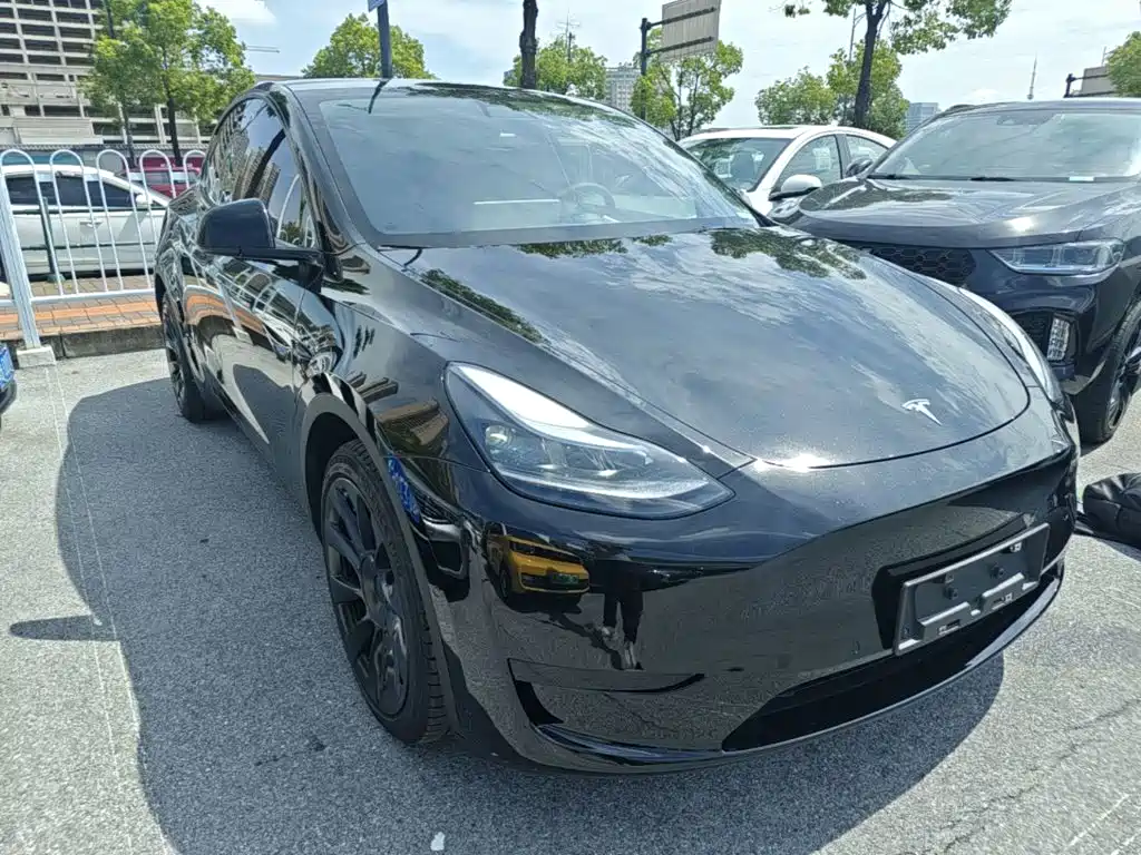 Tesla Model Y — фото 4