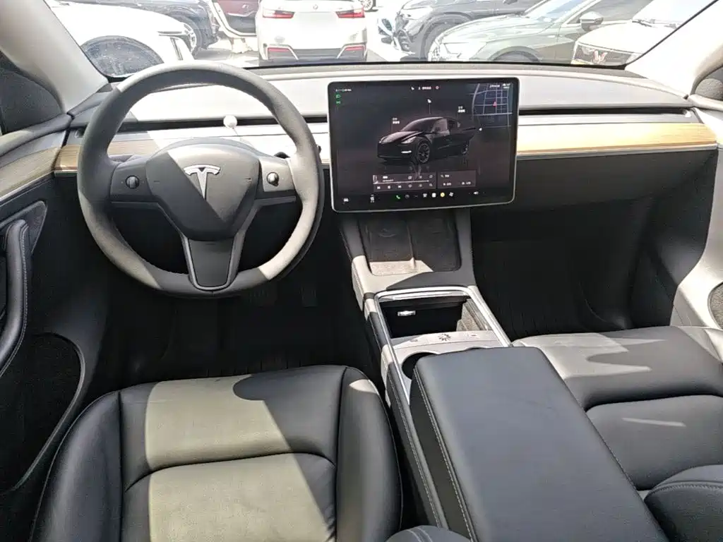 Tesla Model Y — фото 10