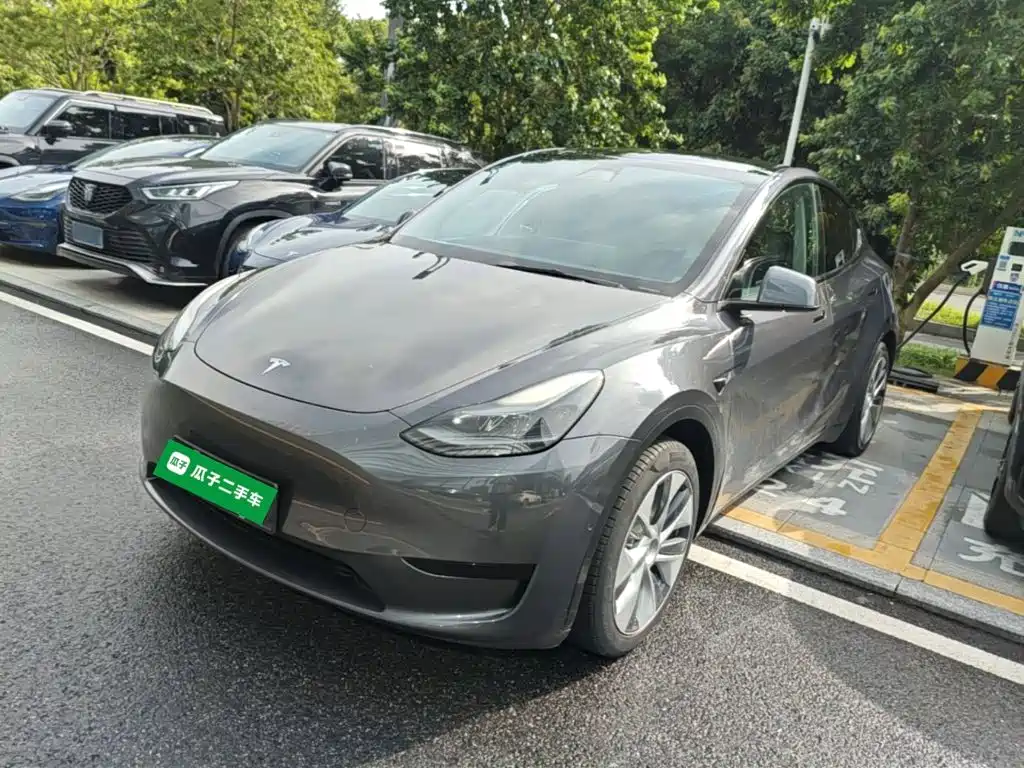 Tesla Model Y — фото 2
