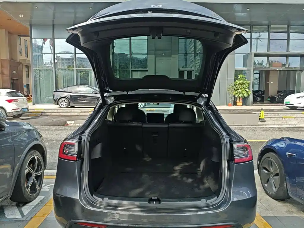 Tesla Model Y — фото 19