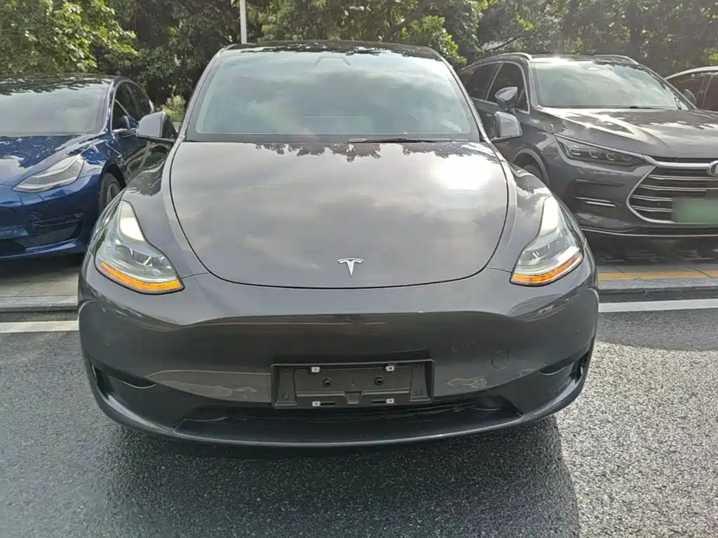 Tesla Model Y — фото 3