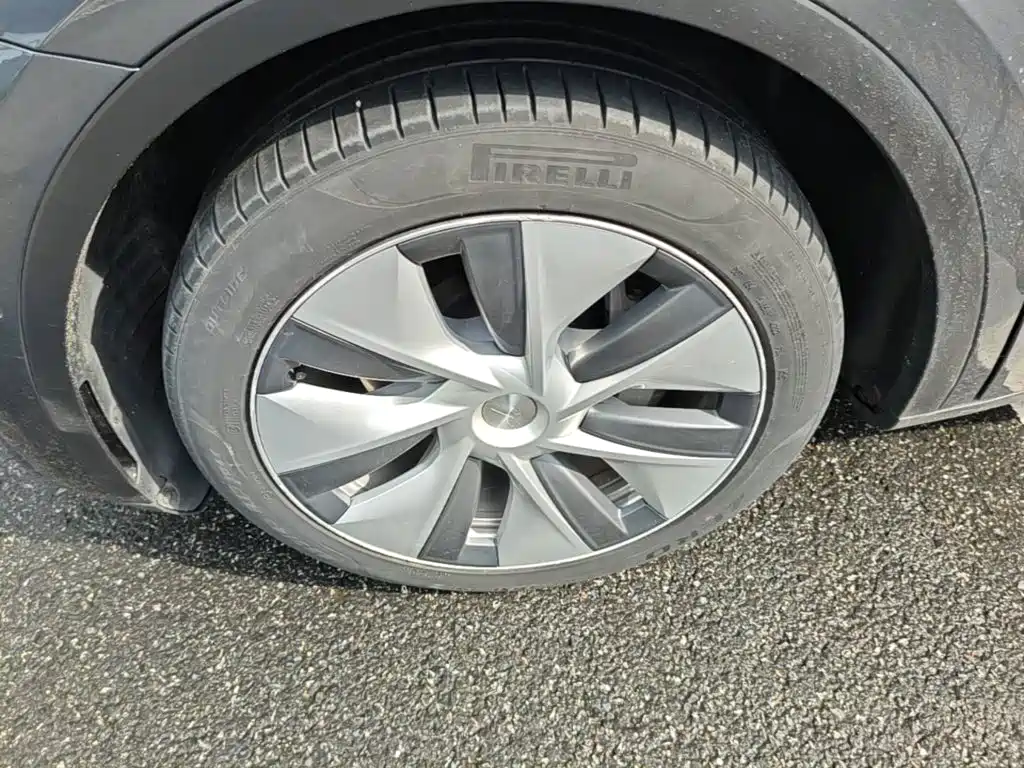Tesla Model Y — фото 23