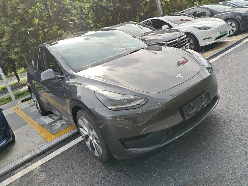 Tesla Model Y — фото 4