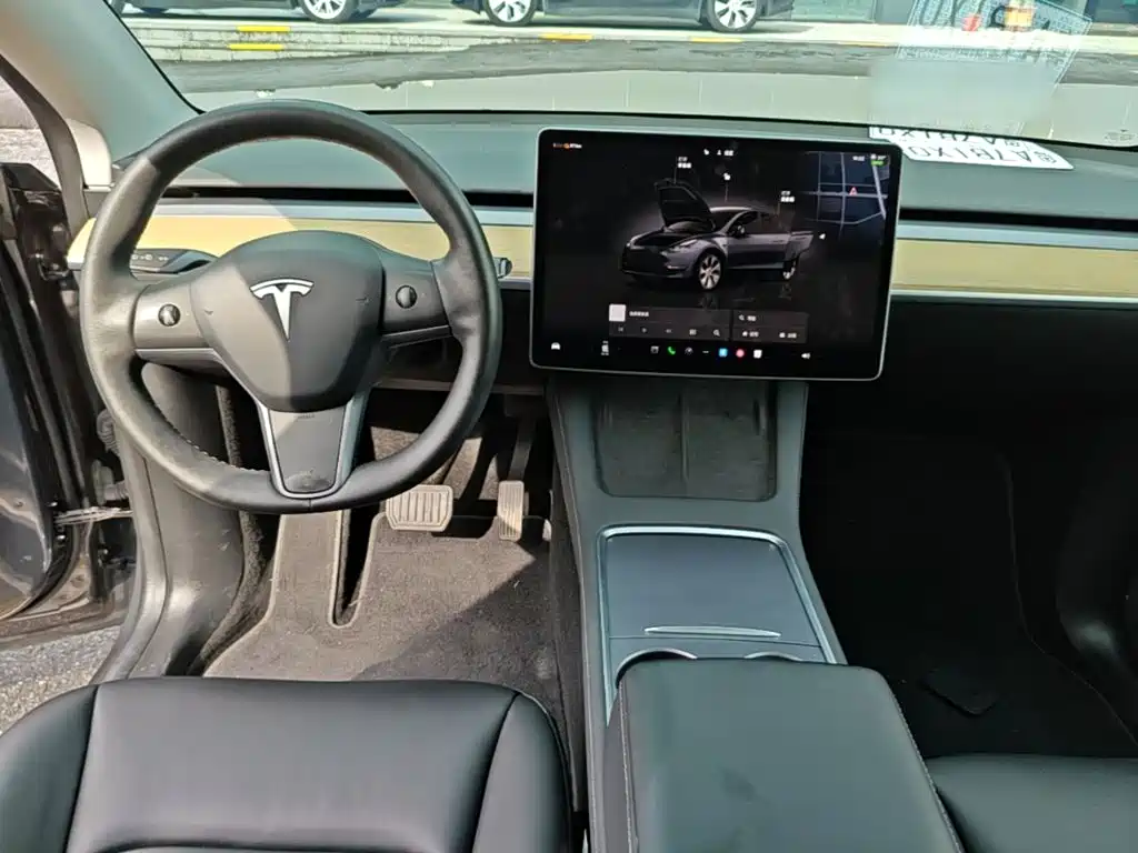 Tesla Model Y — фото 10
