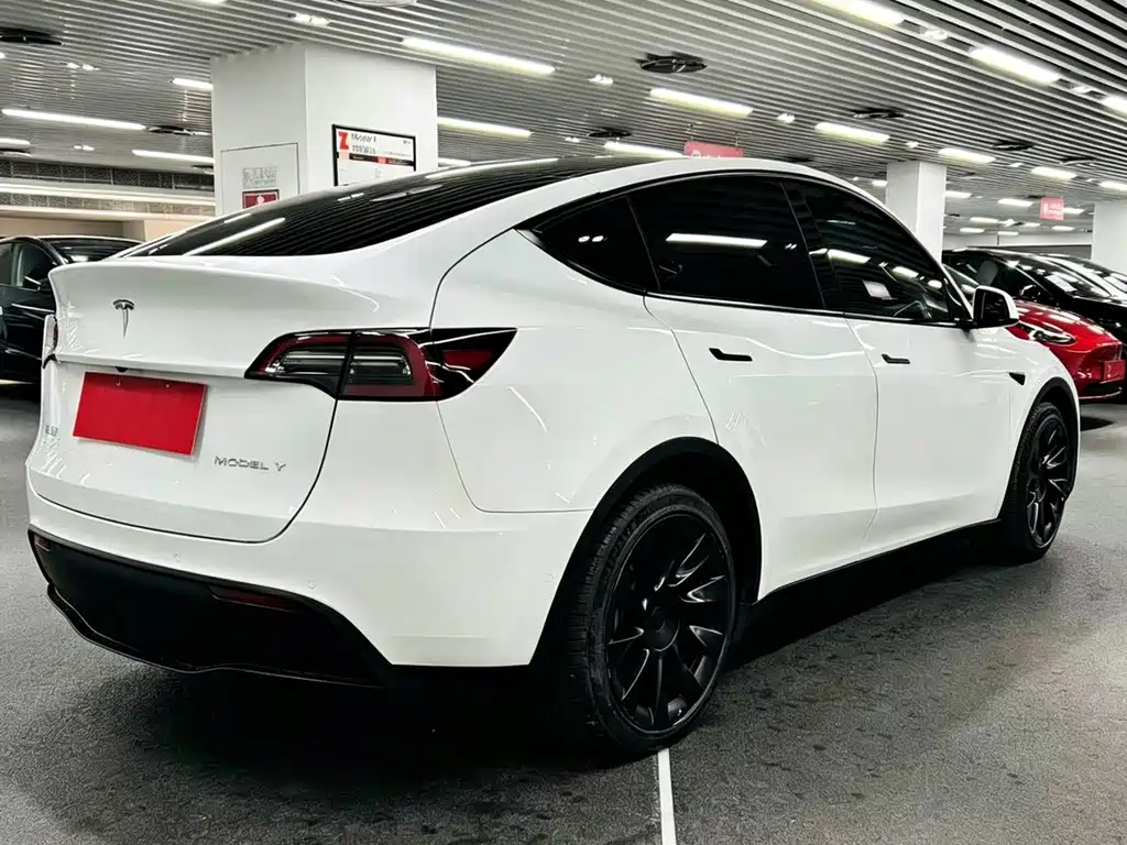 Tesla Model Y — фото 3