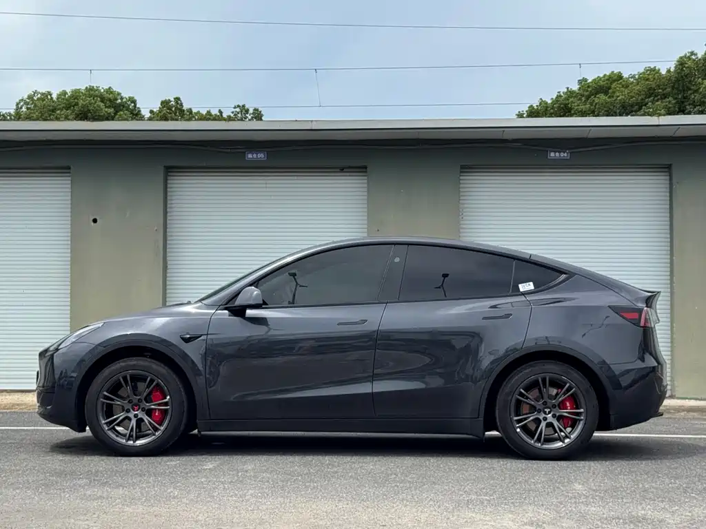 Tesla Model Y — фото 3