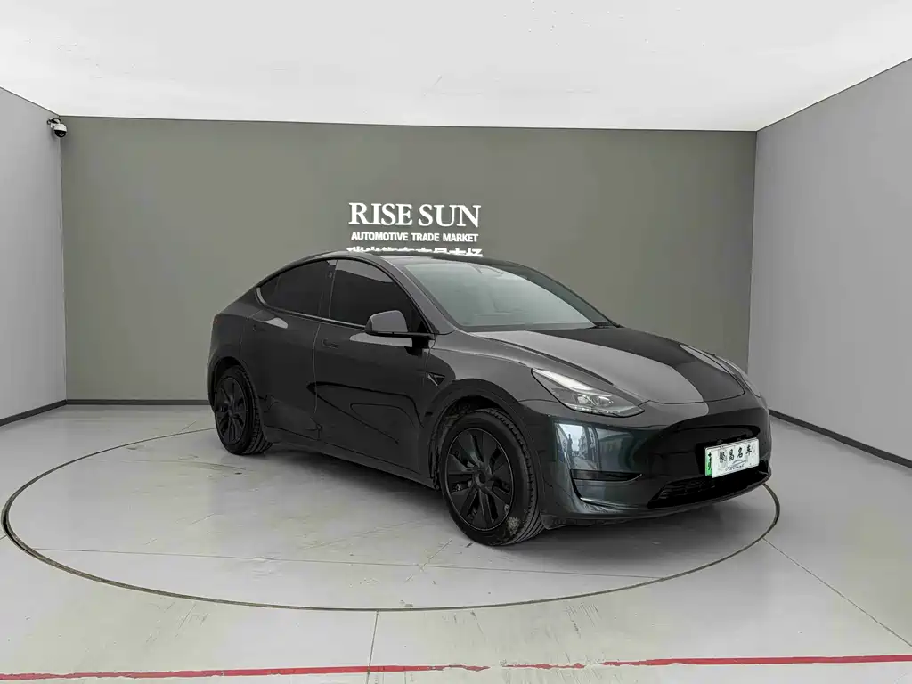Tesla Model Y — фото 3