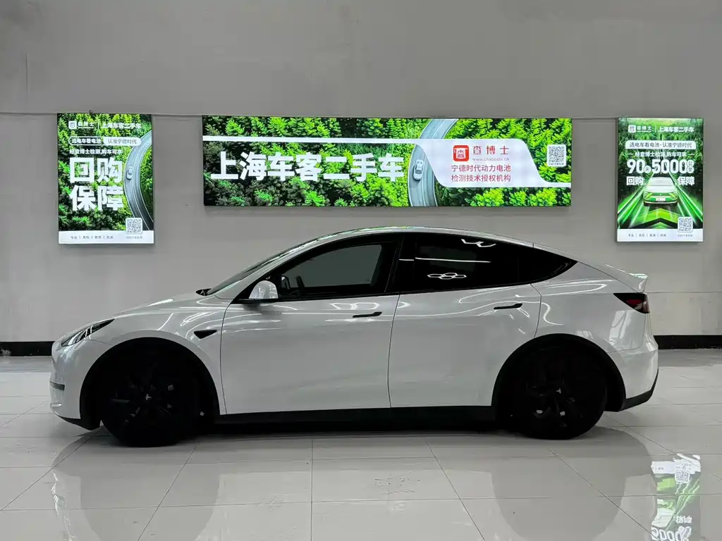 Tesla Model Y — фото 3