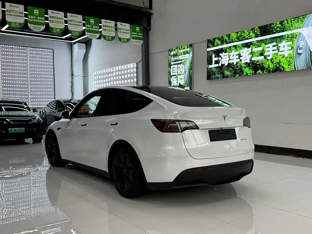 Tesla Model Y — фото 9