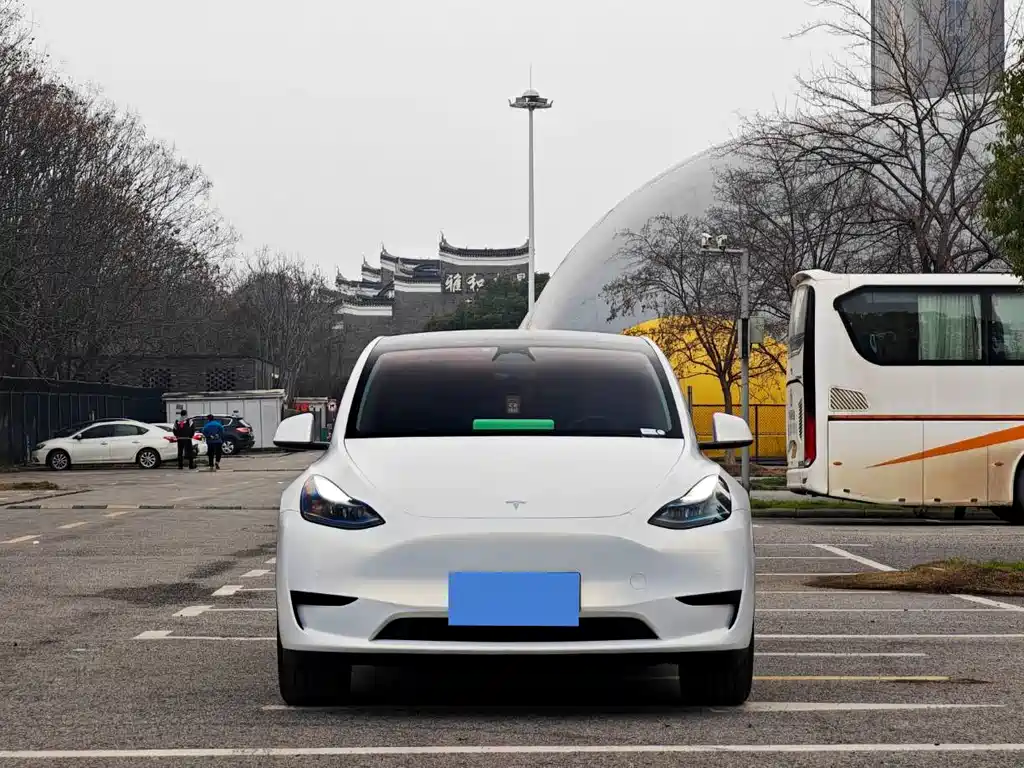 Tesla Model Y — фото 2