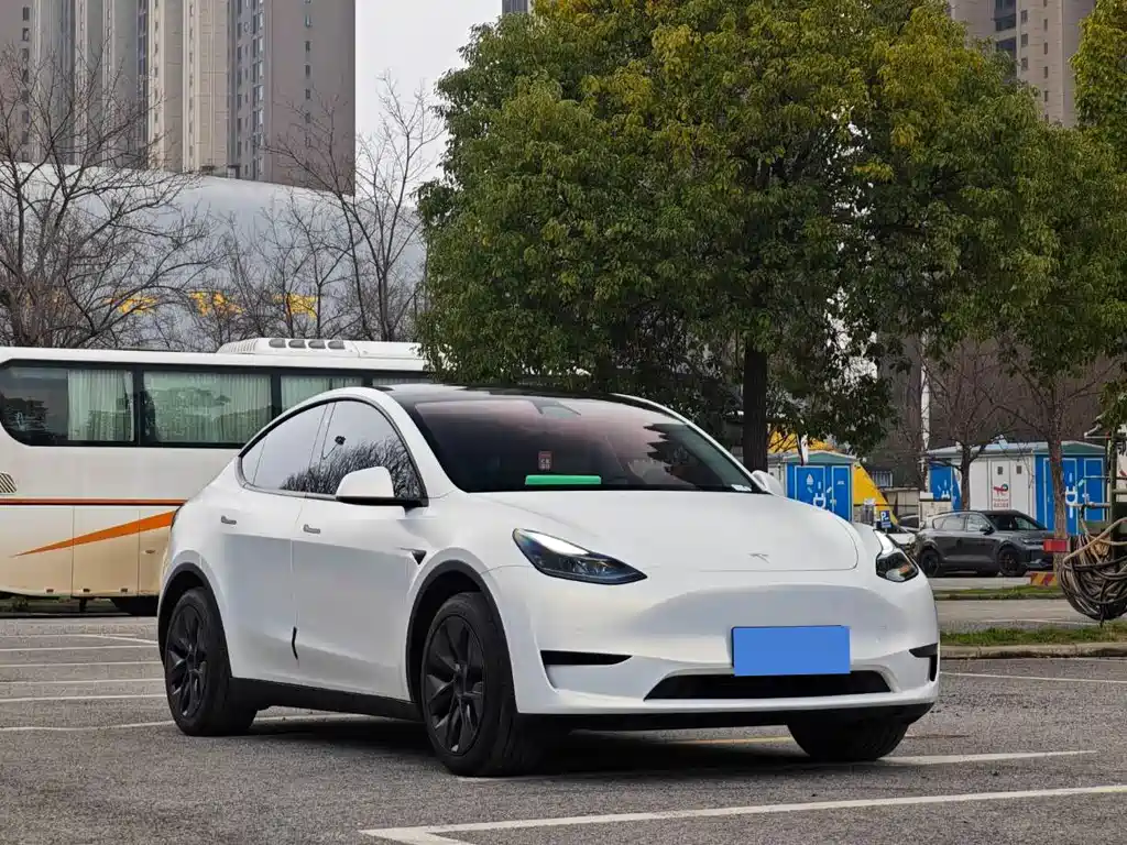 Tesla Model Y — фото 3