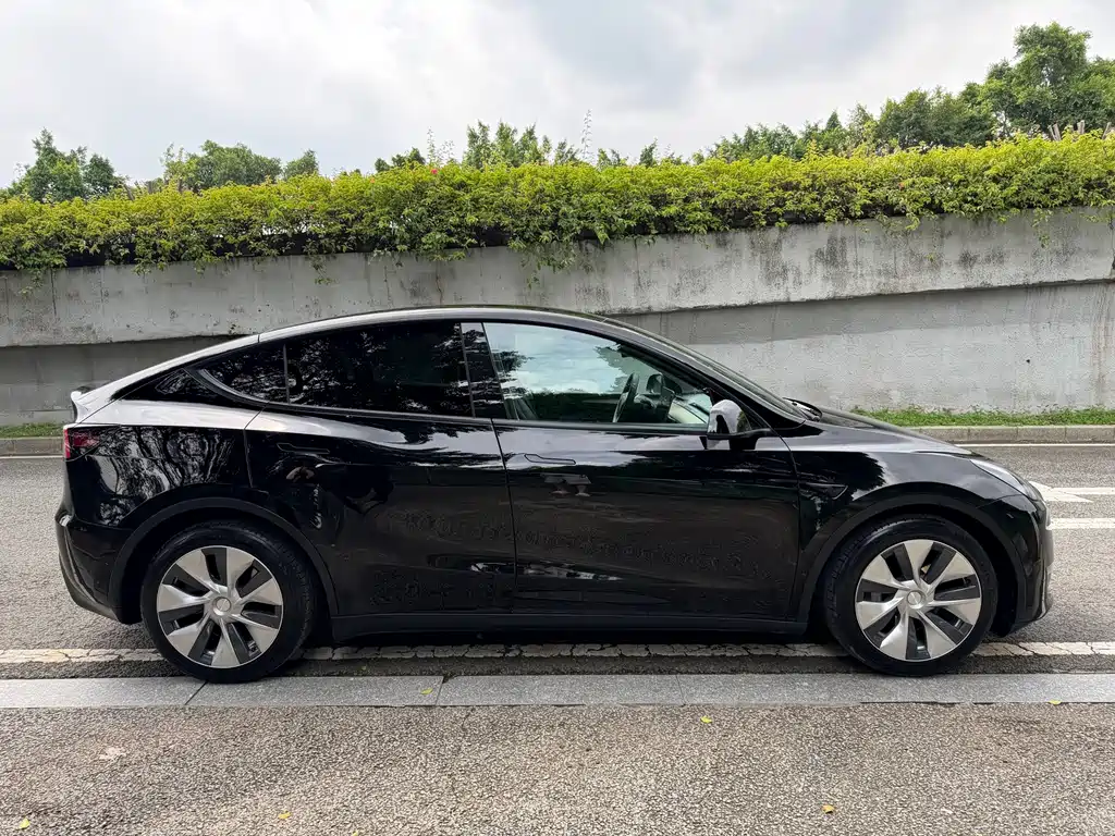 Tesla Model Y — фото 6