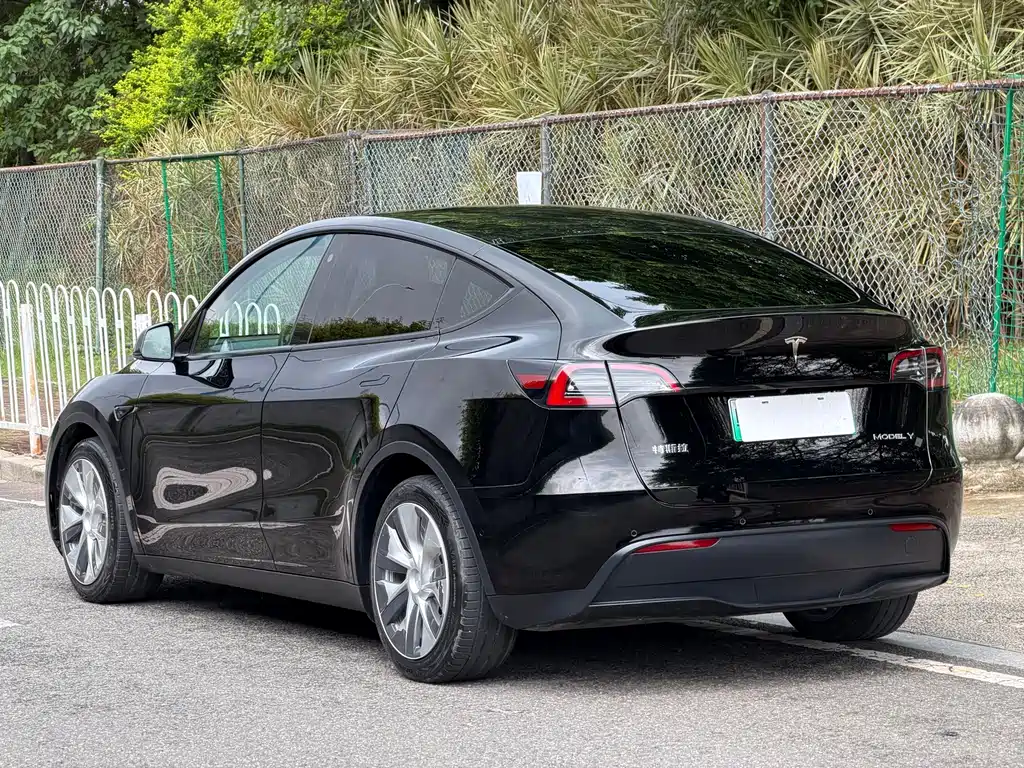 Tesla Model Y — фото 8