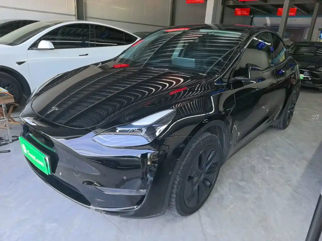 Tesla Model Y — фото 2