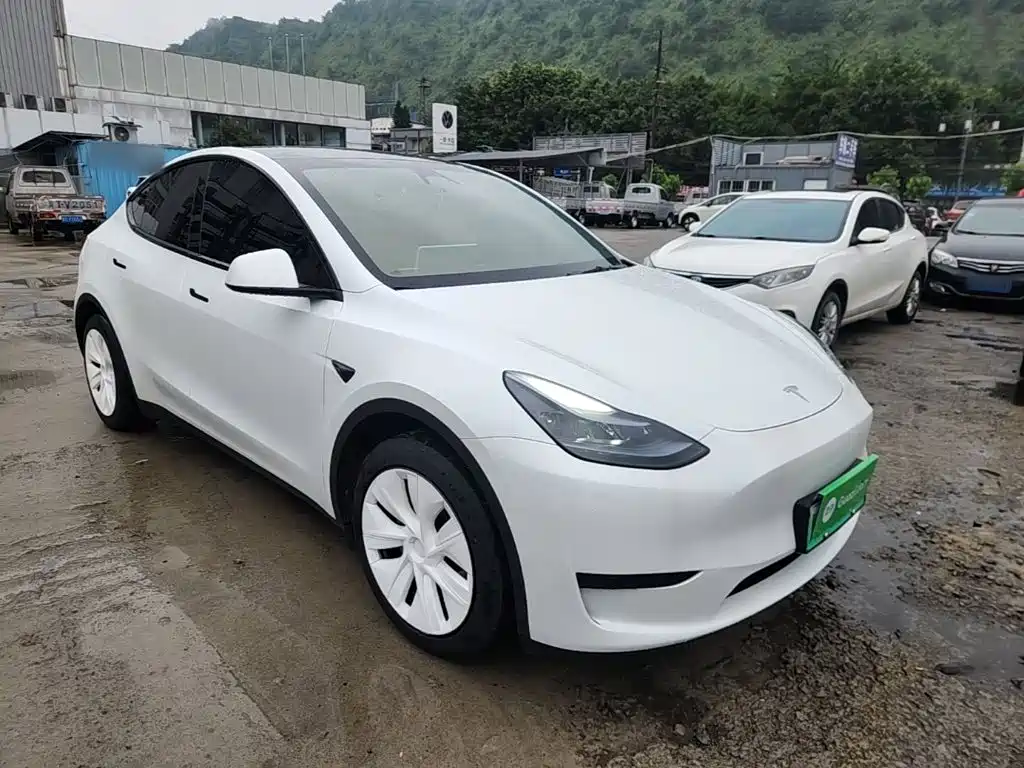 Tesla Model Y — фото 4