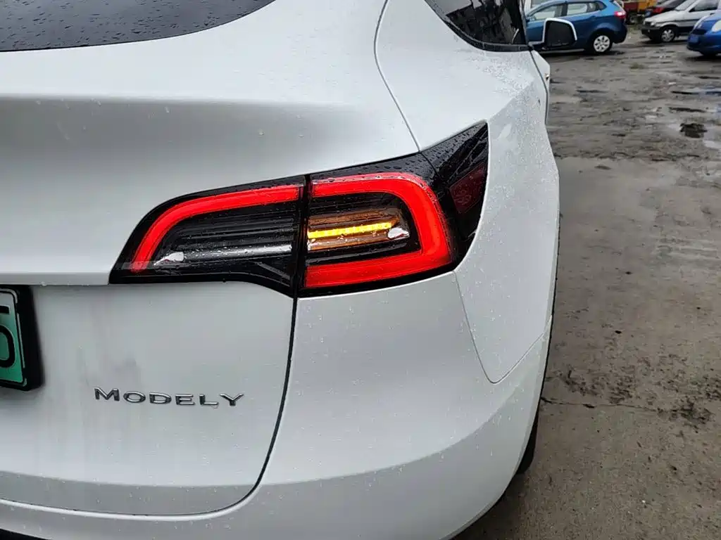 Tesla Model Y — фото 8