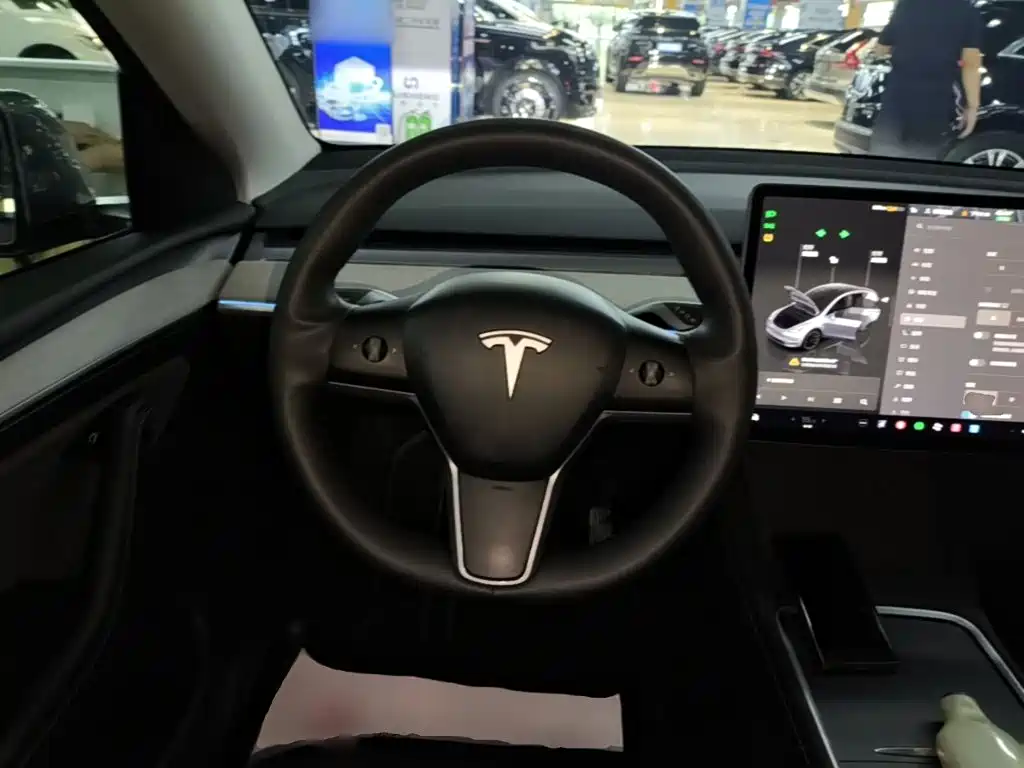 Tesla Model Y — фото 11
