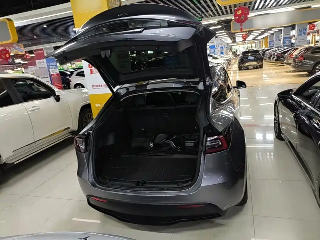 Tesla Model Y — фото 19