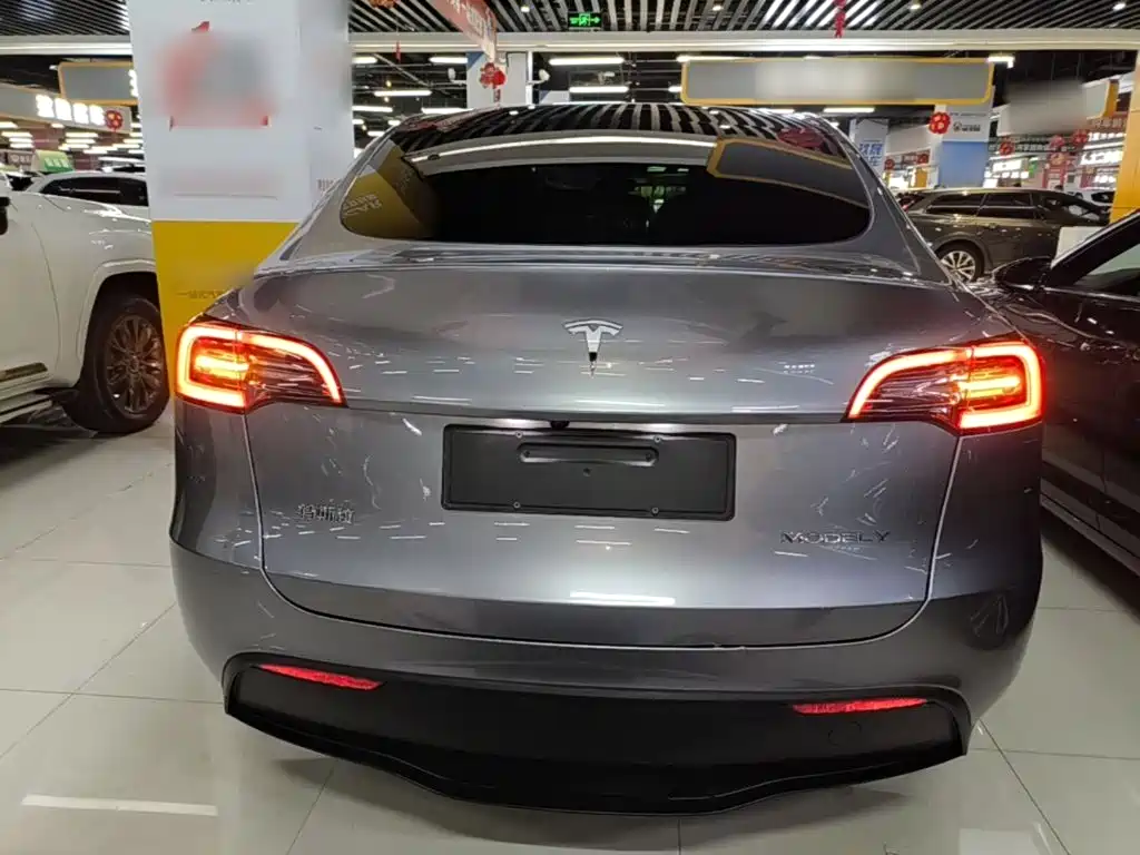 Tesla Model Y — фото 6