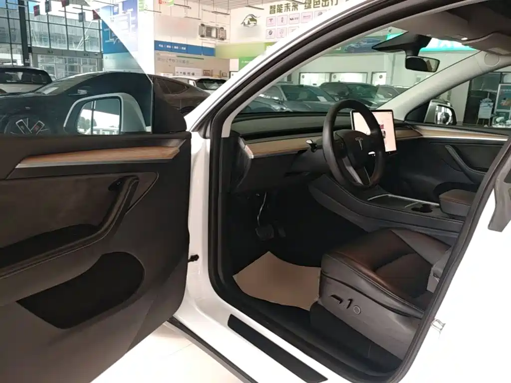 Tesla Model Y — фото 16