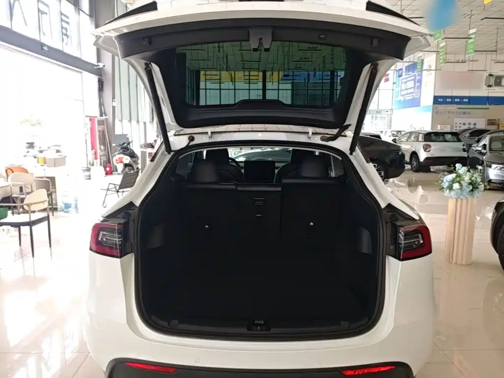 Tesla Model Y — фото 19