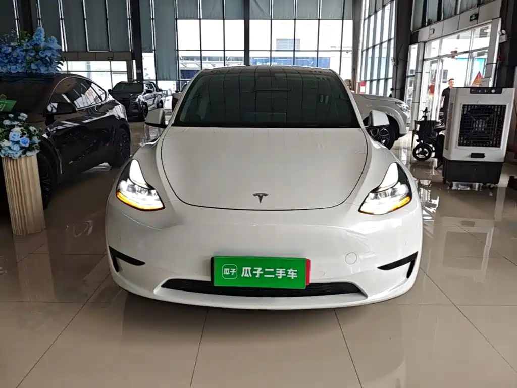 Tesla Model Y — фото 3