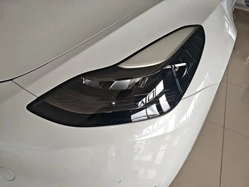 Tesla Model Y — фото 24