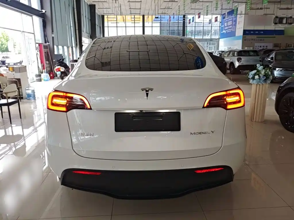 Tesla Model Y — фото 6