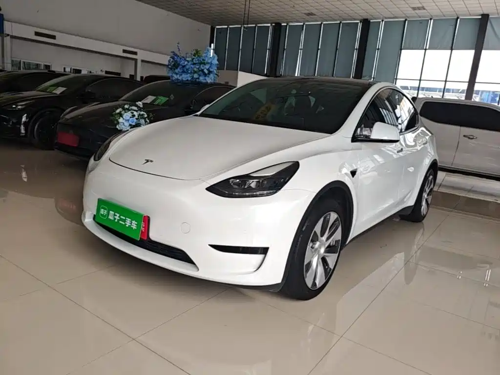 Tesla Model Y — фото 1