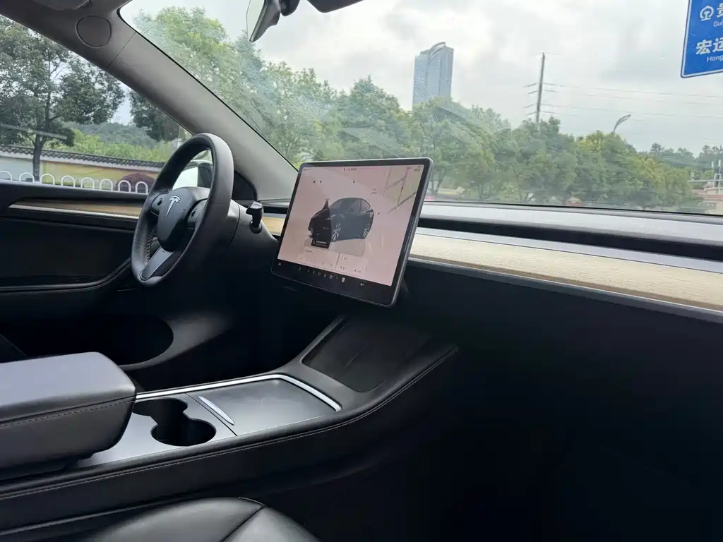 Tesla Model Y — фото 9