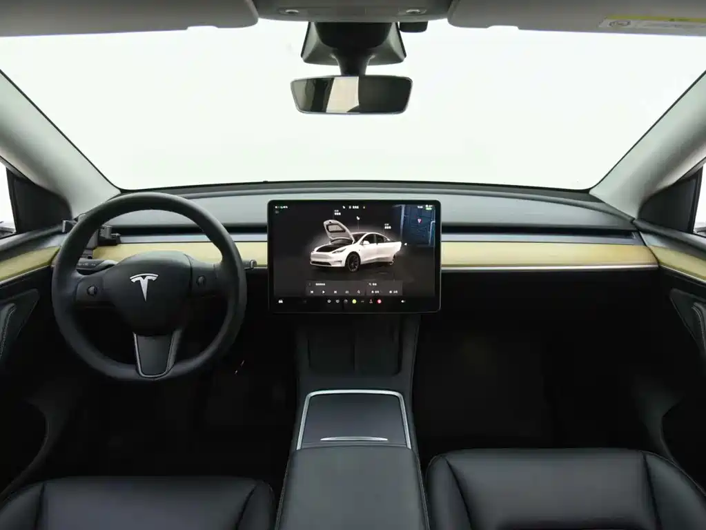 Tesla Model Y — фото 8