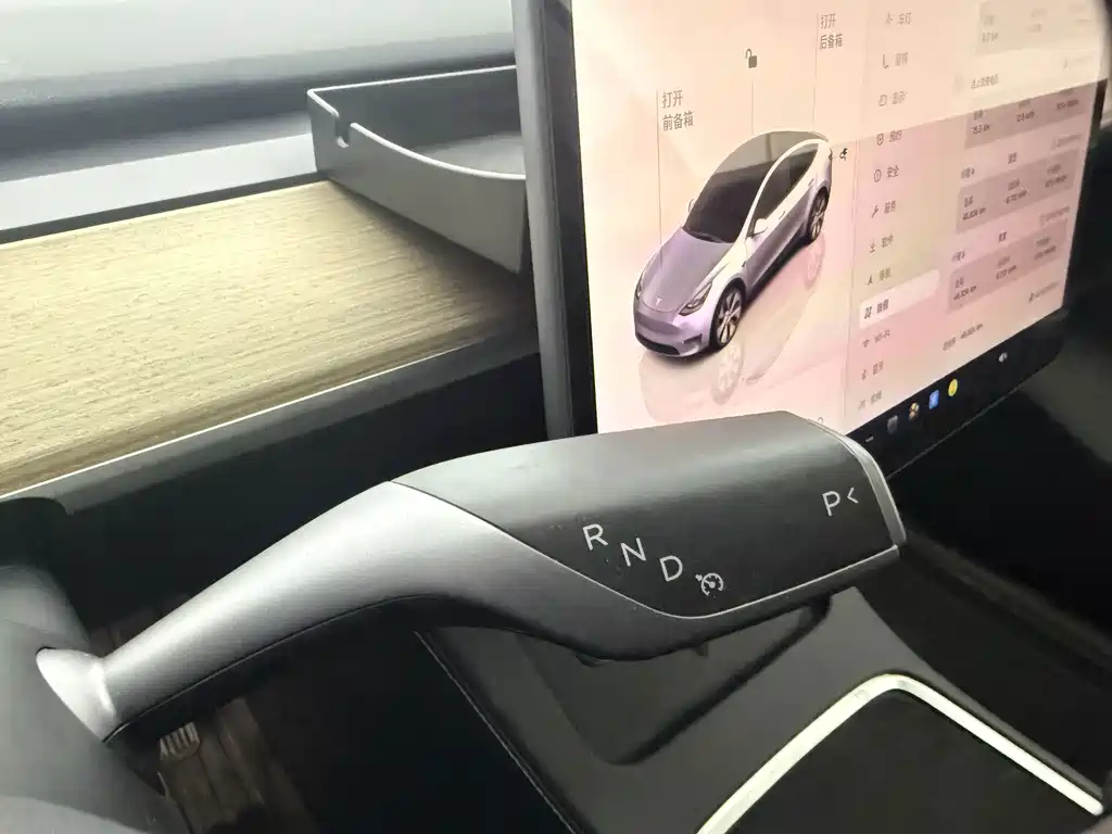 Tesla Model Y — фото 13