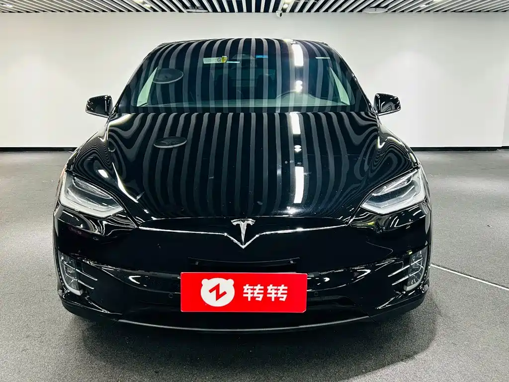 Tesla Model X — фото 2
