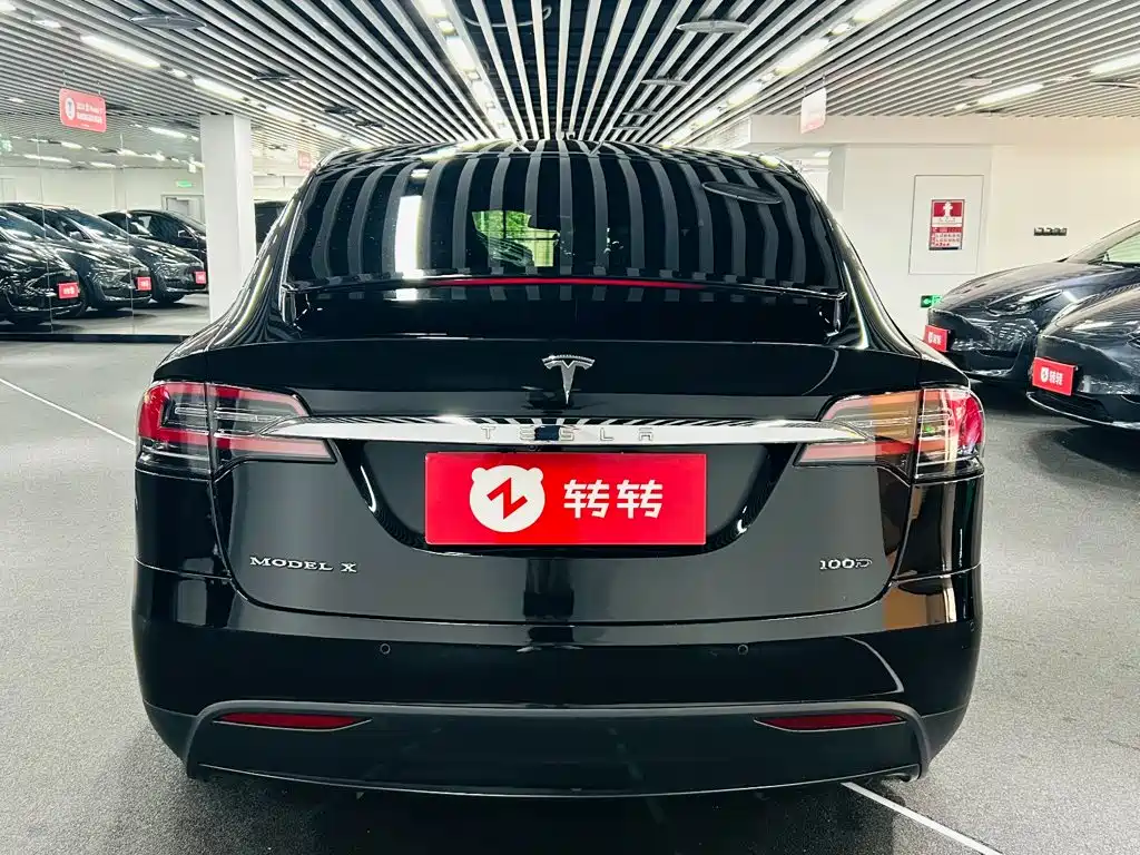 Tesla Model X — фото 5
