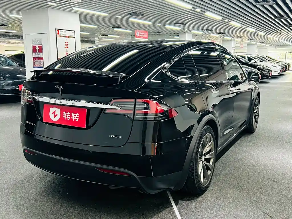 Tesla Model X — фото 6