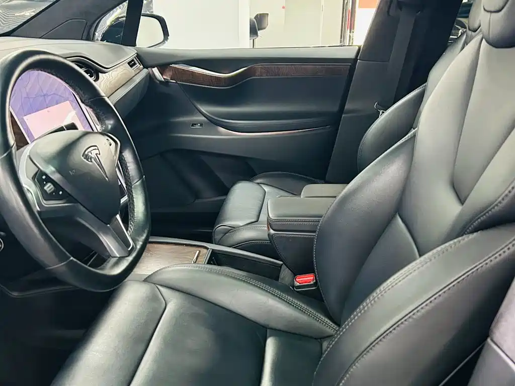 Tesla Model X — фото 8