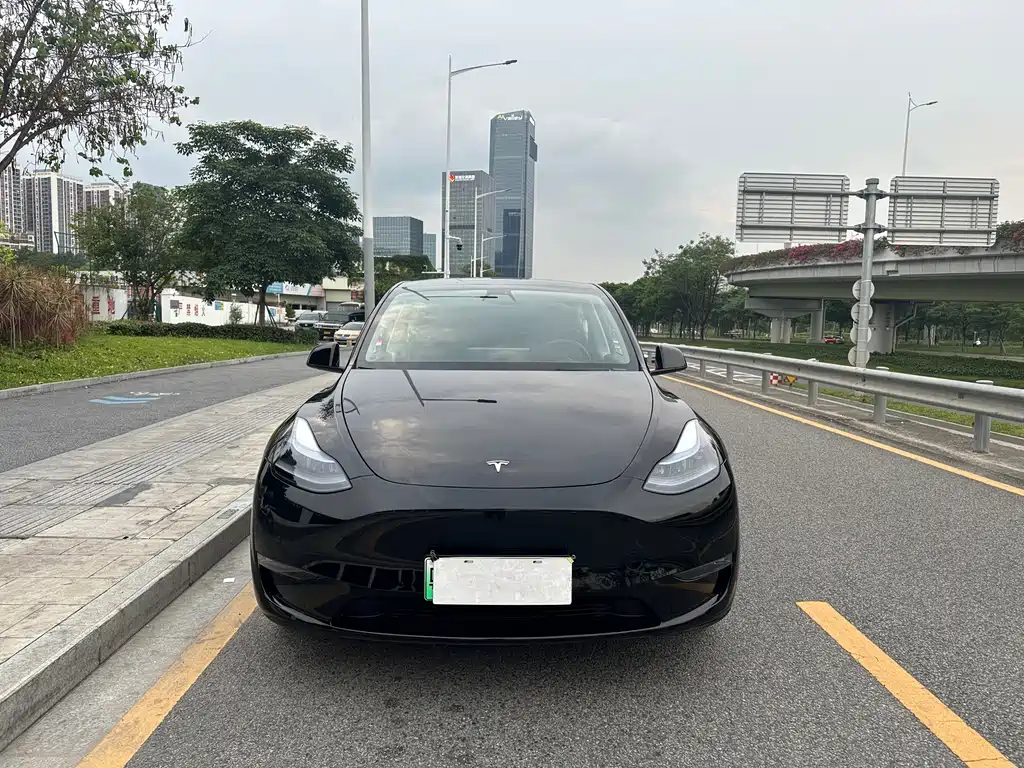 Tesla Model Y — фото 2