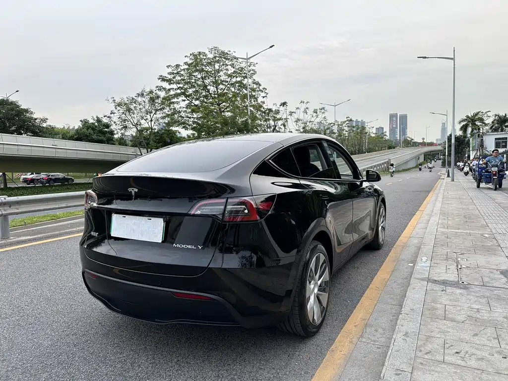 Tesla Model Y — фото 11