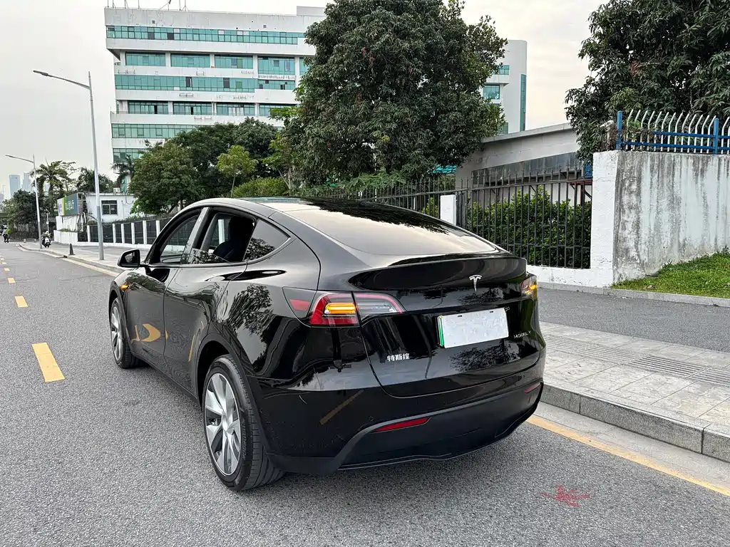 Tesla Model Y — фото 13